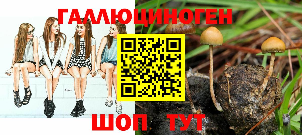 Галлюциногенные грибы GOLDEN TEACHER Кимовск