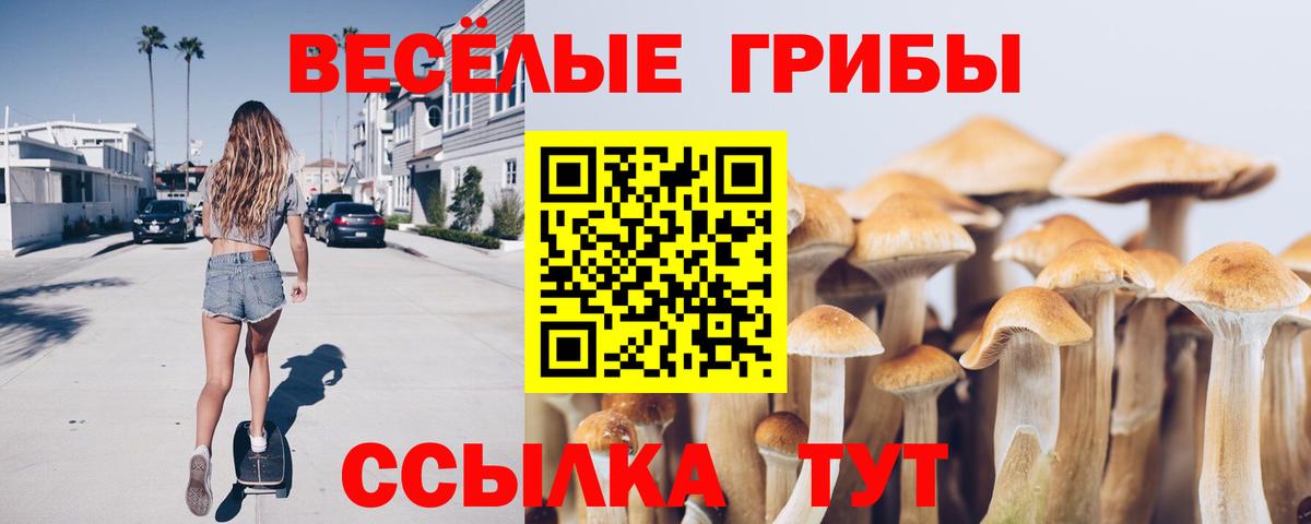 Кимовск  Псилоцибиновые грибы MAGIC MUSHROOMS  Вход с VPN  Галлюциногенные грибы Psilocybine cubensis 